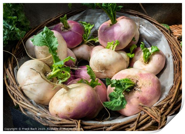 Fresh turnips in a basket Print by Frank Bach