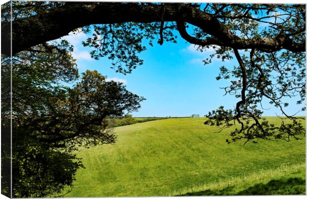english countryside view Canvas Print by Kevin Britland