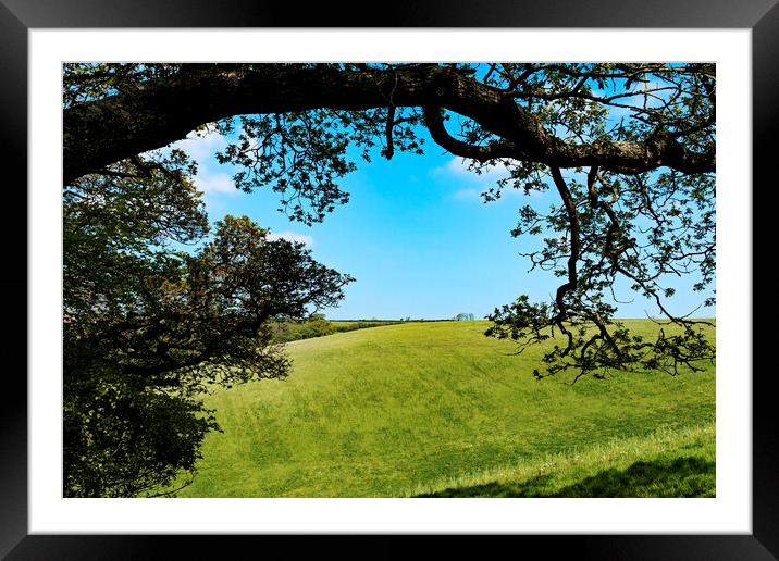 english countryside view Framed Mounted Print by Kevin Britland