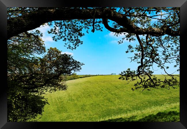 english countryside view Framed Print by Kevin Britland