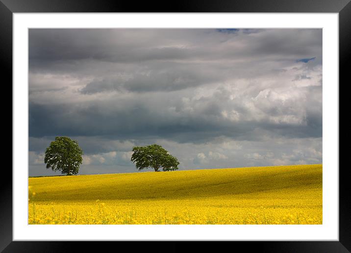 Sunlight after the Storm Framed Mounted Print by Gavin Liddle