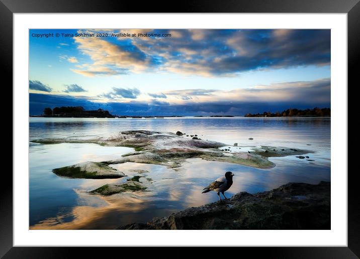 Seafront Cloudscape with  Hooded Crow Framed Mounted Print by Taina Sohlman
