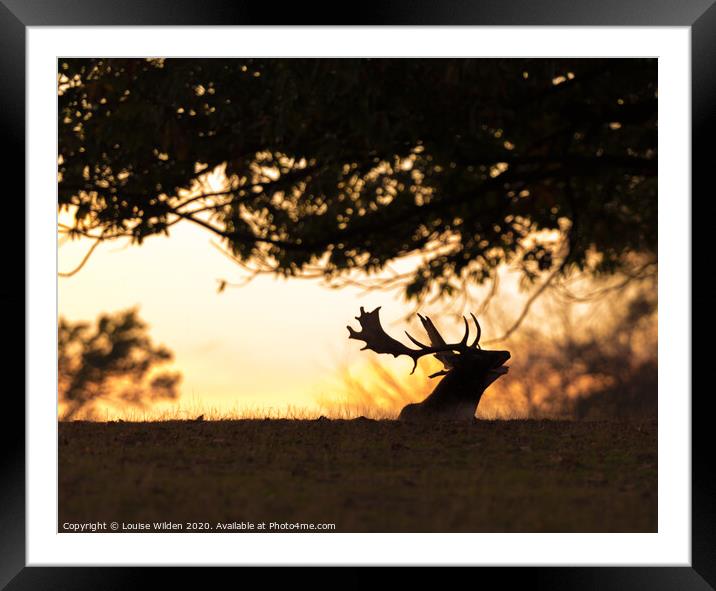 Call of the deer  Framed Mounted Print by Louise Wilden