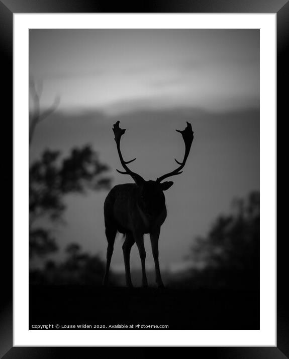 Silhouette of a deer  Framed Mounted Print by Louise Wilden