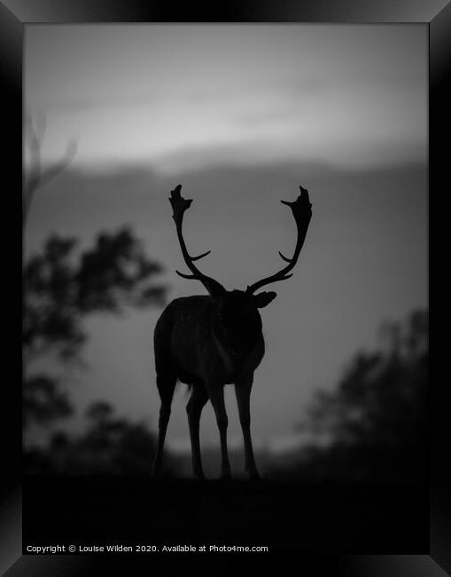 Silhouette of a deer  Framed Print by Louise Wilden