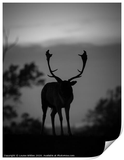Silhouette of a deer  Print by Louise Wilden