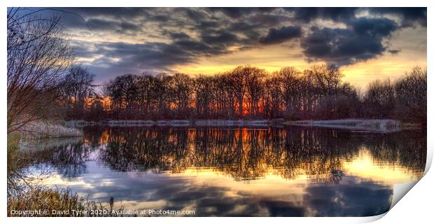 Winter on the Pond Print by David Tyrer