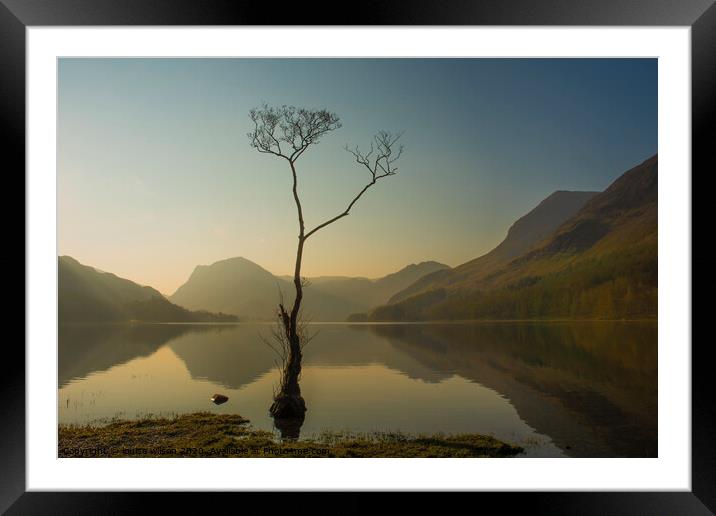 The lone tree Framed Mounted Print by louise wilson
