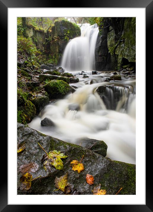 autumn in Lumsdale Framed Mounted Print by louise wilson