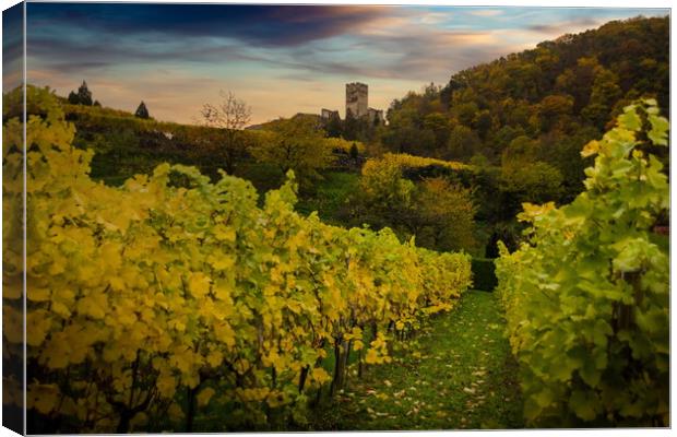 Vineyards in Wachau valley, Spitz, Lower Austria. Canvas Print by Sergey Fedoskin