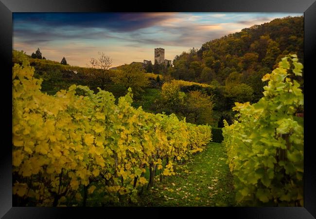 Vineyards in Wachau valley, Spitz, Lower Austria. Framed Print by Sergey Fedoskin