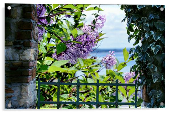  Spring Lilacs by the Ocean Acrylic by Elaine Manley