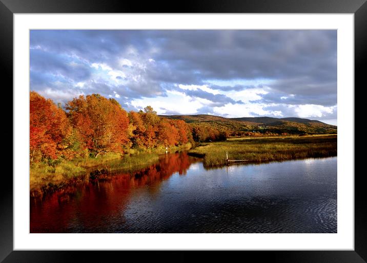 Autumn on the River Framed Mounted Print by Elaine Manley
