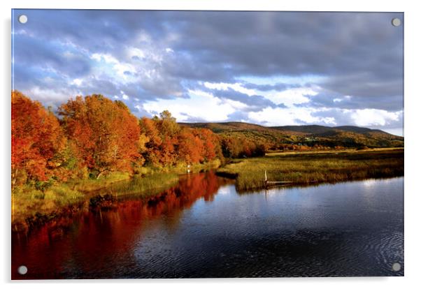 Autumn on the River Acrylic by Elaine Manley