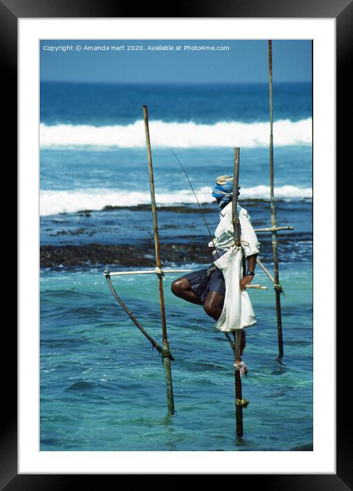 Stilt fisherman, Sri Lanka Framed Mounted Print by Amanda Hart