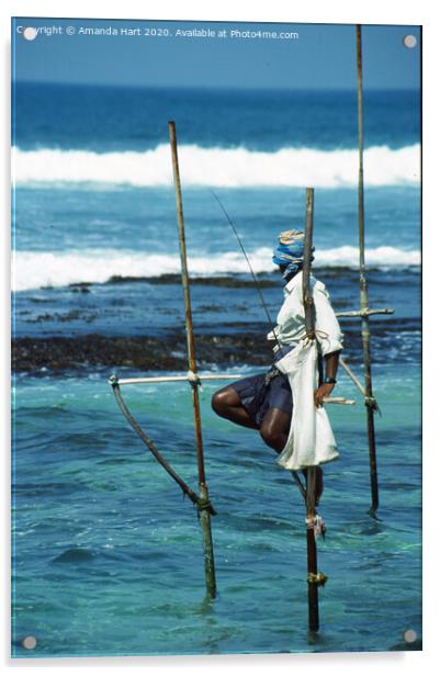 Stilt fisherman, Sri Lanka Acrylic by Amanda Hart