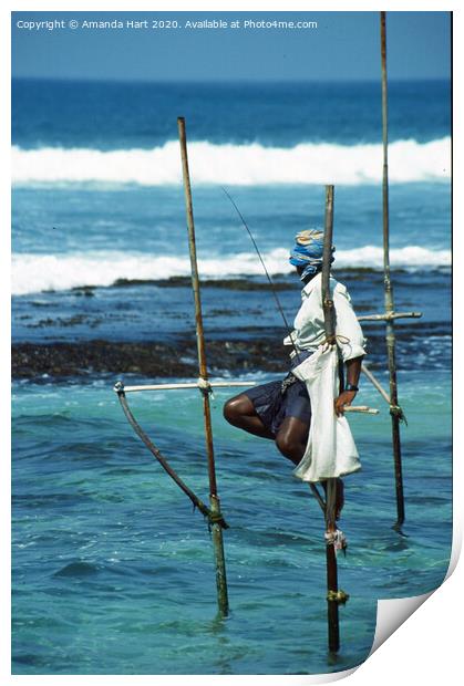 Stilt fisherman, Sri Lanka Print by Amanda Hart