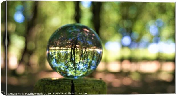 Trees in a Sphere Canvas Print by Matthew Balls