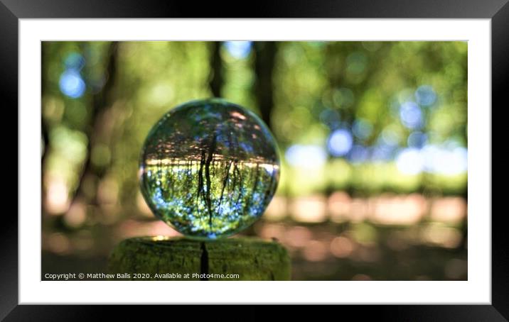 Trees in a Sphere Framed Mounted Print by Matthew Balls