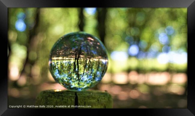 Trees in a Sphere Framed Print by Matthew Balls