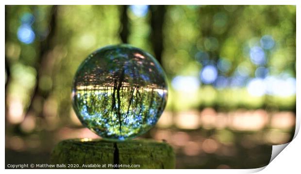 Trees in a Sphere Print by Matthew Balls