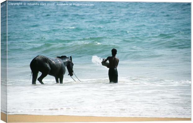 Cooling off at the end of the day, Sri Lanka  Canvas Print by Amanda Hart