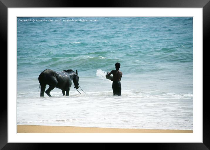 Cooling off at the end of the day, Sri Lanka  Framed Mounted Print by Amanda Hart