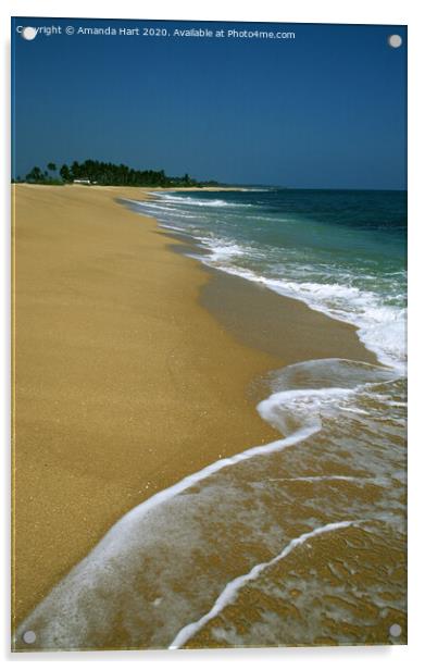 Beach at Tangalle in Sri Lanka Acrylic by Amanda Hart