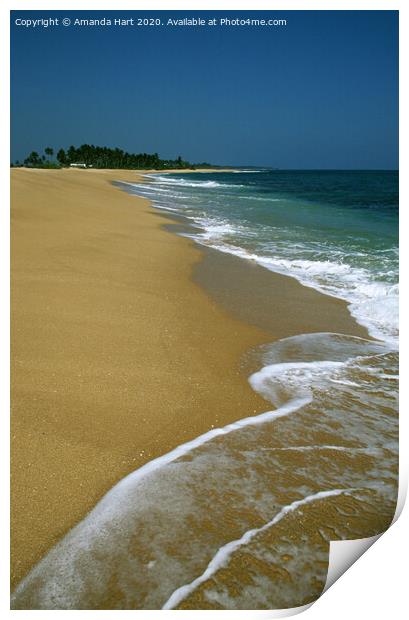 Beach at Tangalle in Sri Lanka Print by Amanda Hart