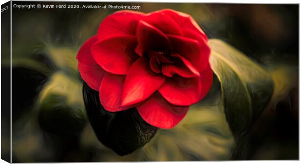 Single Red Camelia Canvas Print by Kevin Ford
