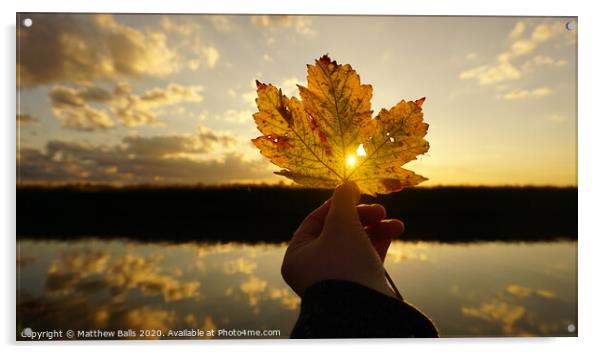 sunset leaf Acrylic by Matthew Balls