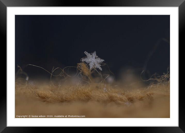 snowflake Framed Mounted Print by louise wilson