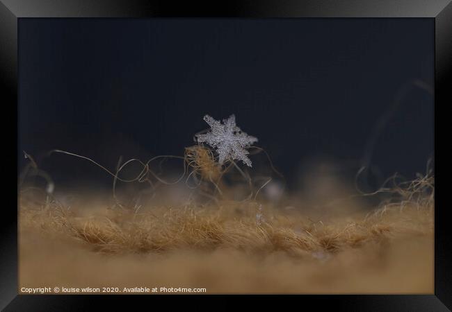 snowflake Framed Print by louise wilson