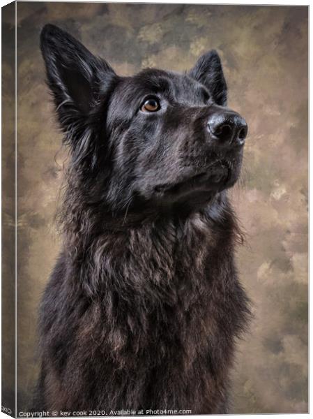 Bella Canvas Print by kevin cook