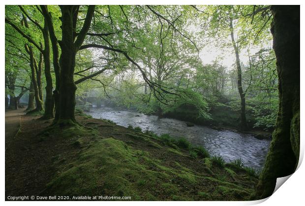 Woodlands and River Print by Dave Bell