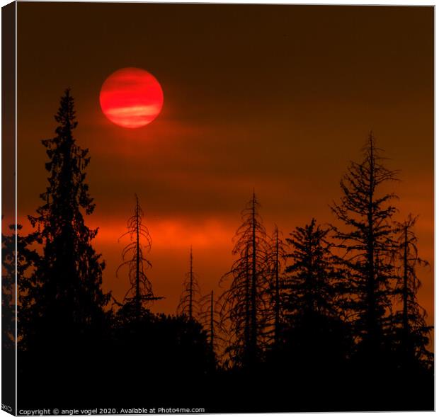 Red Sun Canvas Print by angie vogel