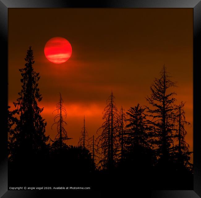 Red Sun Framed Print by angie vogel