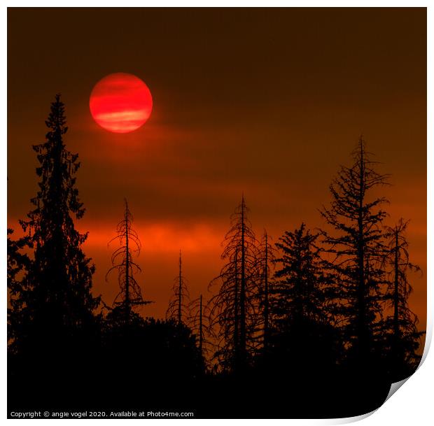 Red Sun Print by angie vogel