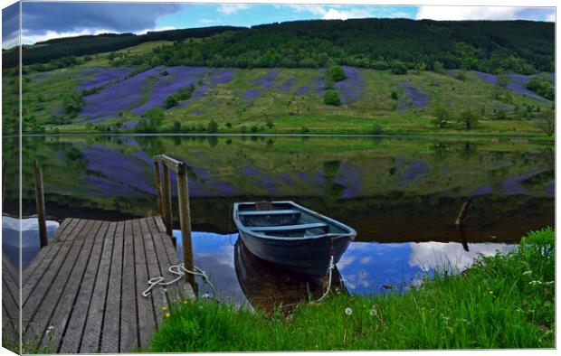 Carpet of Bluebells, Argyll, Scotland. Canvas Print by Rich Fotografi 