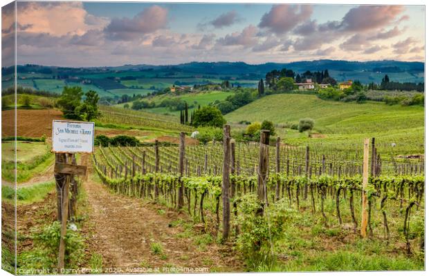 Tuscany Farm and Vineyard Canvas Print by Darryl Brooks
