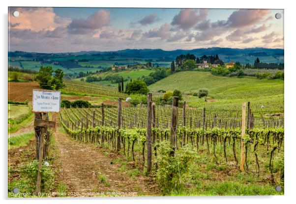 Tuscany Farm and Vineyard Acrylic by Darryl Brooks