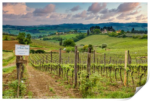 Tuscany Farm and Vineyard Print by Darryl Brooks