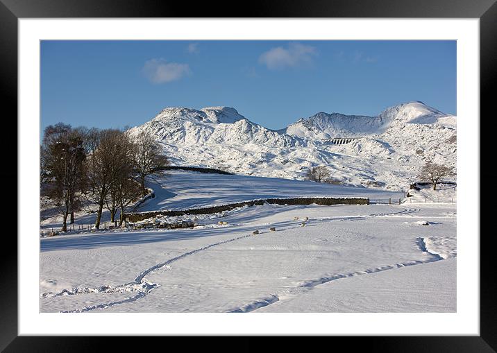Moelwyn range with snow tracks Framed Mounted Print by Rory Trappe