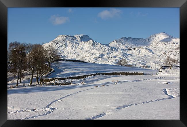 Moelwyn range with snow tracks Framed Print by Rory Trappe
