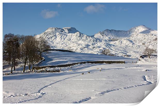 Moelwyn range with snow tracks Print by Rory Trappe