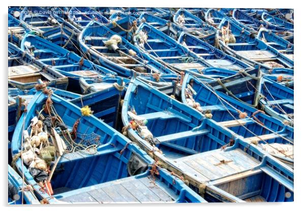 The blue boats of Essaouira Acrylic by David Birchall