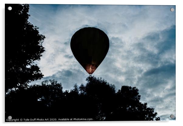 Hot Air Balloon In Dawn Sky Acrylic by Tylie Duff Photo Art