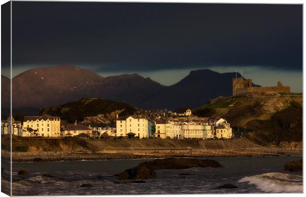 Criccieth January 2011 Canvas Print by Rory Trappe
