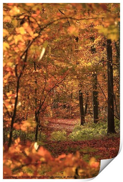 woodland beauty Print by Simon Johnson
