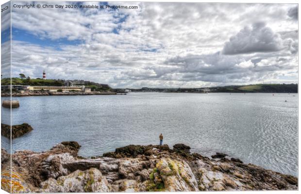 View towards the Plym Canvas Print by Chris Day